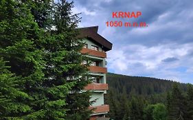 Velký apartmán Cihlarka pro až 17 osob